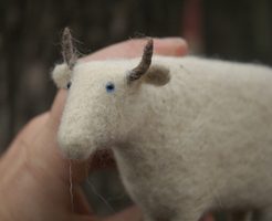 small bull