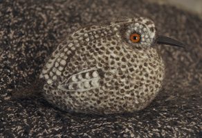 spotted needle felted bird
