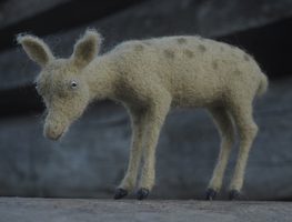 spotted fawn