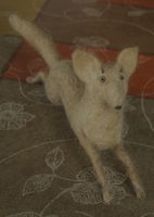 running fox