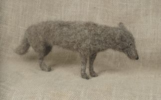 old dog