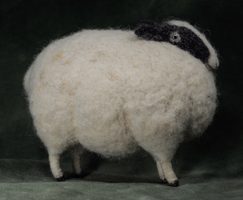 sheep