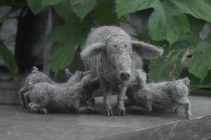 pig family