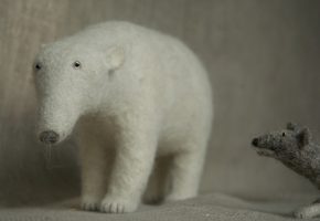 dog harassing bear
