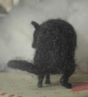pooping dog