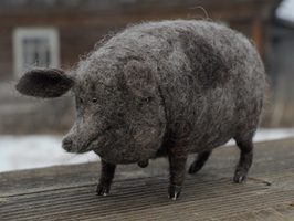 fat brown pig