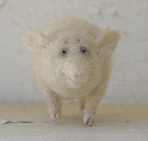 tiny pig