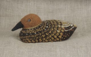 duck