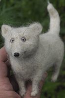 smiling dog