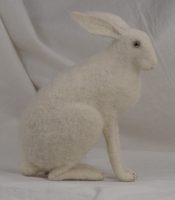 white hare