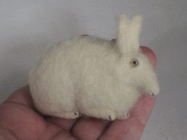 tiny rabbit