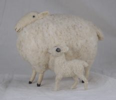 sheep & lamb