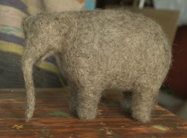 circus elephant