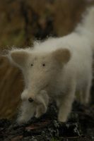 fox with a bird
