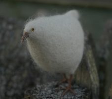 white bird