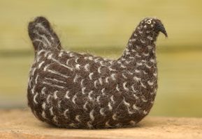 spotted hen