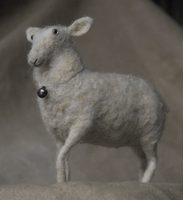 small sheep