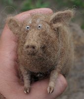 red pig