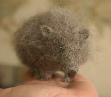 hedgehog the scoundrel