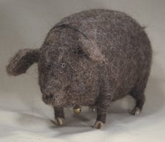 brown pig
