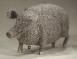 fat grey pig