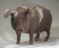red spotted pig