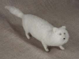 white fox