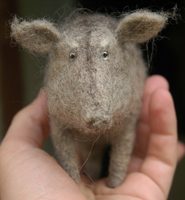 old boar
