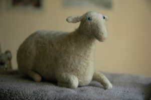 white lamb