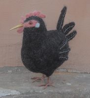 black hen