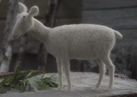 strange animal