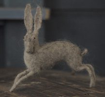 strange hare