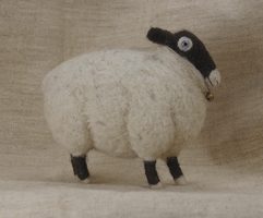 sheep