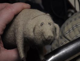 that pig