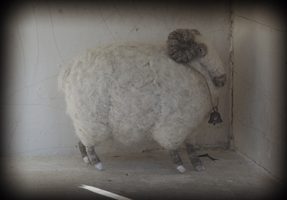 ram