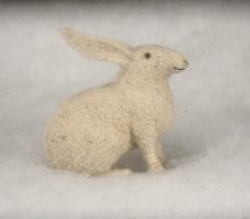winter rabbit