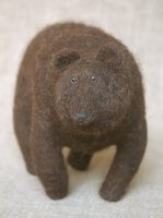 young bear