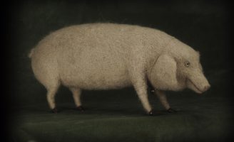 clever pig