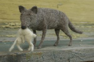 wolf with his prey